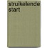 Struikelende Start