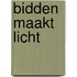 Bidden maakt licht