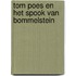 Tom Poes en het spook van Bommelstein