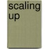 Scaling up
