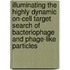 Illuminating the highly dynamic on-cell target search of bacteriophage and phage-like particles