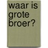 Waar is Grote Broer?
