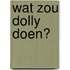 Wat zou Dolly doen?