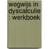 Wegwijs in dyscalculie