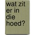 Wat zit er in die hoed?