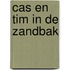 cas en tim in de zandbak