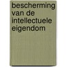 Bescherming van de intellectuele eigendom by P.G.F.A. Geerts