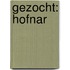Gezocht: hofnar