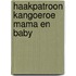 Haakpatroon Klaar voor kerst lijst