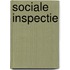 Sociale inspectie