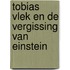 Tobias Vlek en de vergissing van Einstein
