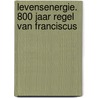 Levensenergie. 800 jaar Regel van Franciscus door Kenny Brack