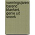 Vormingsjaren Barend Blankert, Genie uit Sneek