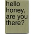 Hello Honey, are you there?
