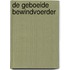 De geboeide bewindvoerder