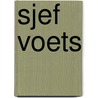 Sjef Voets by Hans November