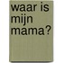 Waar is mijn mama?