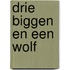 Drie Biggen en een Wolf