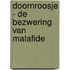 Doornroosje - De bezwering van Malafide