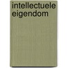 Intellectuele Eigendom door P. Teunissen