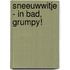 Sneeuwwitje - In bad, Grumpy!