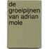 De groeipijnen van Adrian Mole