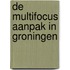 De Multifocus aanpak in Groningen