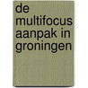 De Multifocus aanpak in Groningen by S. Andeweg