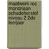 Maatwerk ROC Mondriaan Schadeherstel niveau 2 2de leerjaar