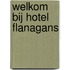 Welkom bij Hotel Flanagans
