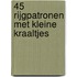45 Rijgpatronen met kleine kraaltjes