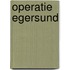 Operatie Egersund
