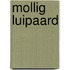Mollig luipaard
