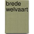 Brede welvaart