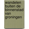 Wandelen buiten de binnenstad van Groningen door Marycke Janne Naber