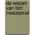 De wezen van Fort Messaoud