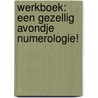 Werkboek: Een gezellig avondje numerologie! by Paragnost Ron Malestein