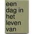 Een dag in het leven van