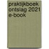 Praktijkboek ontslag 2021 E-book