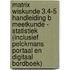 Matrix Wiskunde 3.4-5 Handleiding B Meetkunde - Statistiek (incl. Pelckmans Portaal)