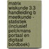 Matrix Wiskunde 3.3 Handleiding B Meetkunde - Statistiek (incl. Pelckmans Portaal)