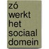 Zó werkt het sociaal domein