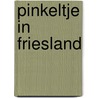 Pinkeltje in Friesland by Studio Dick Laan