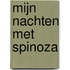Mijn nachten met Spinoza