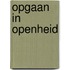 Opgaan in openheid
