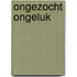 Ongezocht ongeluk