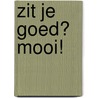 Zit je goed? Mooi! by Herman Pieter de Boer