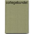 Collegebundel