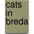 Cats in Breda