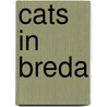 Cats in Breda door Lisa Tang